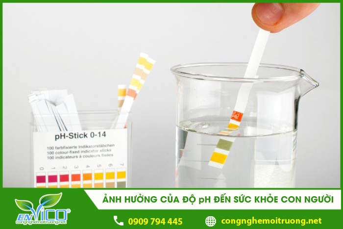 ảnh hưởng của độ pH đến sức khỏe con người