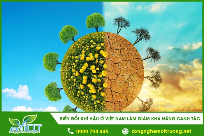 biến đổi khí hậu ở việt nam làm giảm khả năng canh tác 1