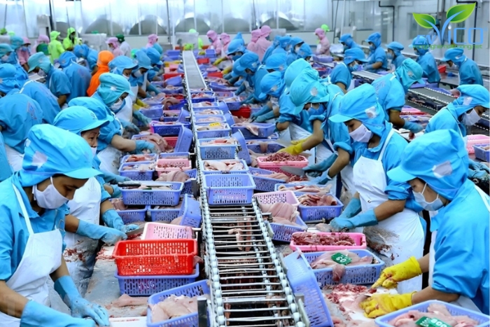 Khái niệm nước thải chế biến thuỷ sản 