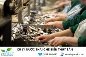Xử lý nước thải chế biến thủy sản ảnh đại diện