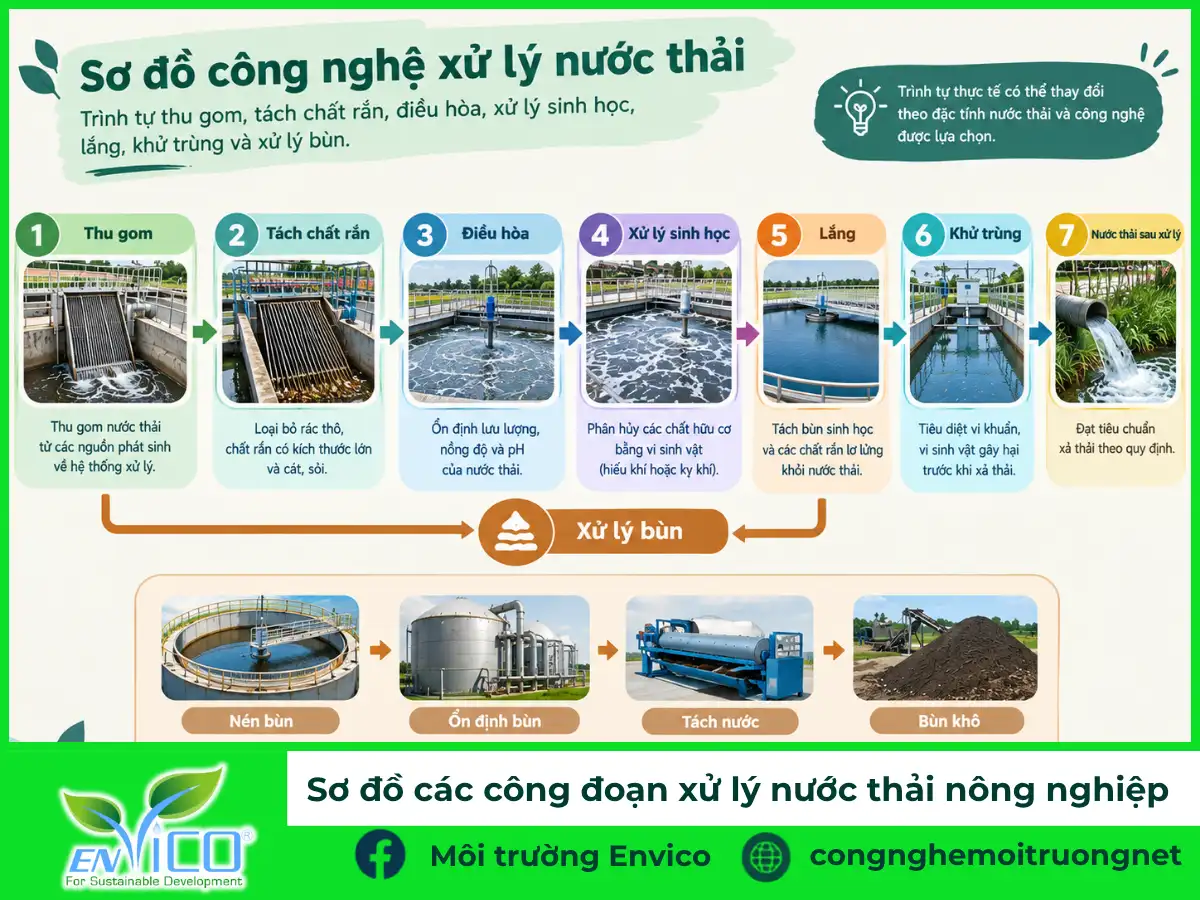 Minh họa trình tự thu gom, tách chất rắn, điều hòa, xử lý sinh học, lắng, khử trùng và xử lý bùn. Trình tự thực tế có thể thay đổi theo đặc tính nước thải và công nghệ được lựa chọn.