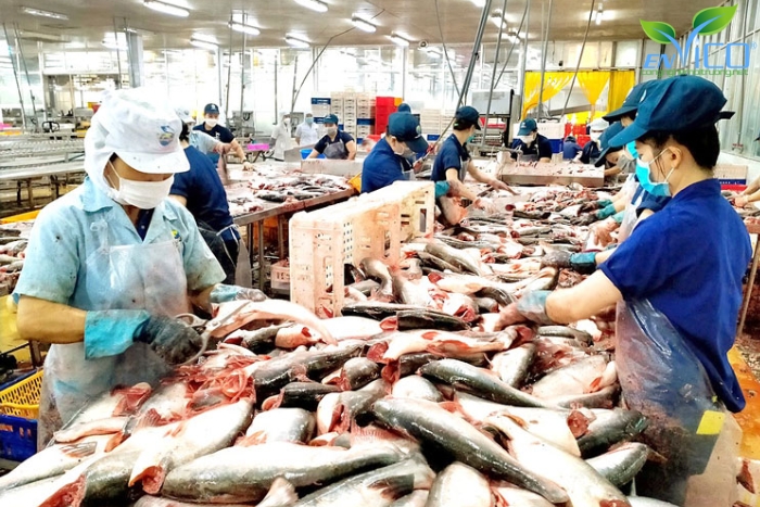 hí thải nhà máy chế biến thủy sản cần xử lý trước khi thải ra môi trường