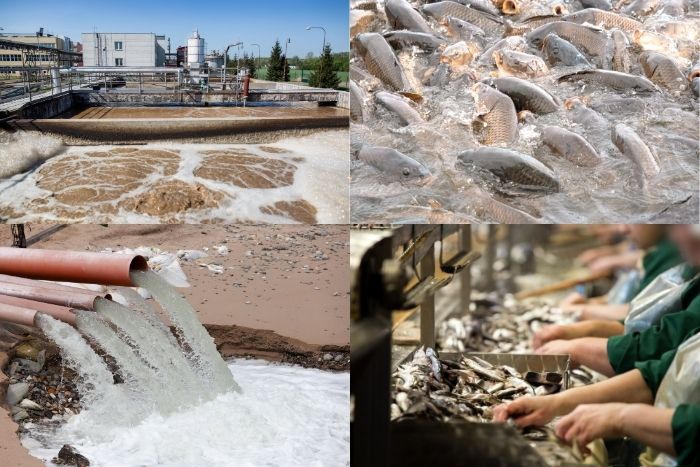 Quy mô nguồn thải tại Khánh Hòa ngày càng tăng