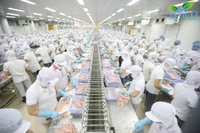 Nước cấp được dùng cho nhiều công đoạn trong chế biến thủy sản