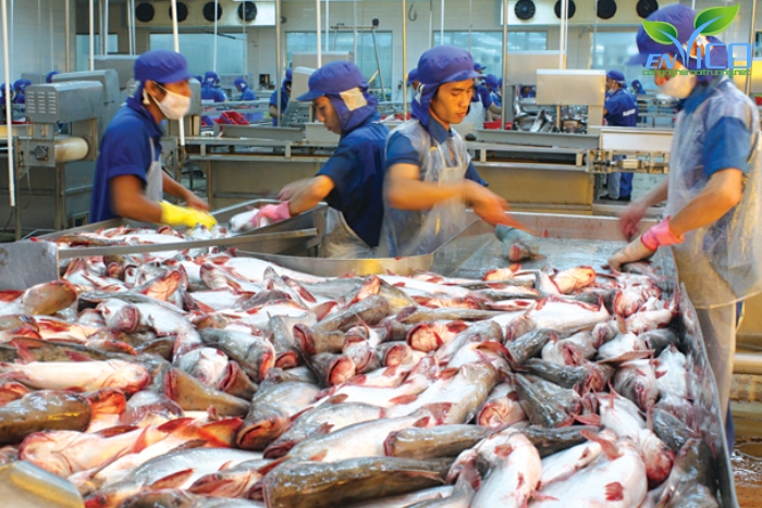 Ngành thủy sản ở Việt Nam đang ngày càng phát triển